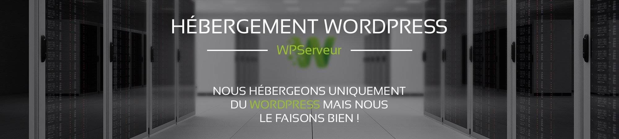 WPserver : le meilleur hébergeur pour les sites WordPress